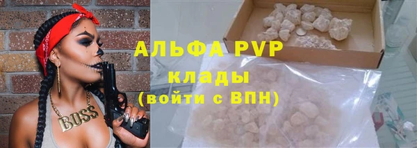 spice Аркадак