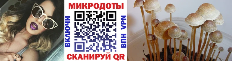 Псилоцибиновые грибы мухоморы  Фурманов 